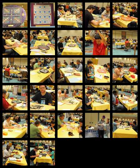 contact sheet