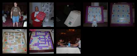 contact sheet